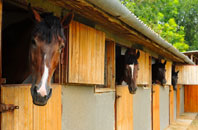 free Pen Y Stryt stable construction quotes